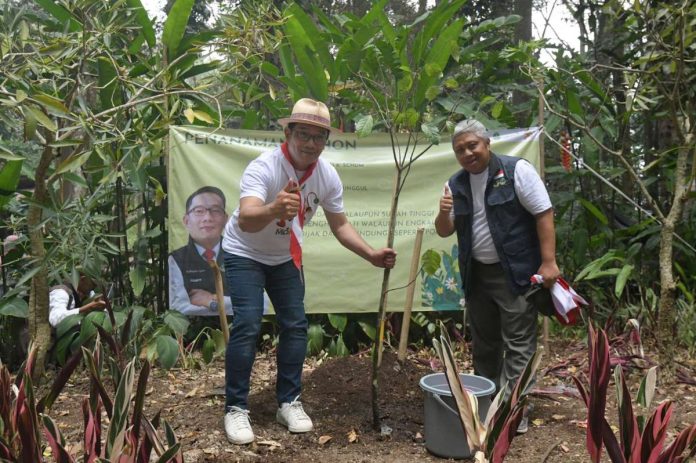 Gubernur berhasil Tanam dan Pelihara 50jt pohon selama lima tahun