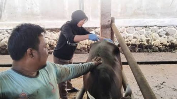 Ribuan Kesehatan Hewan Ribuan Kesehatan Hewan