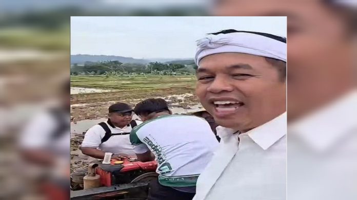 Bahan bakar jerami Bahan bakar jerami