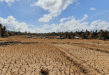 Kekeringan Landa 13 Kecamatan di Ciamis, Lebih dari 8 Ribu Jiwa Terdampak Kekeringan Ciamis